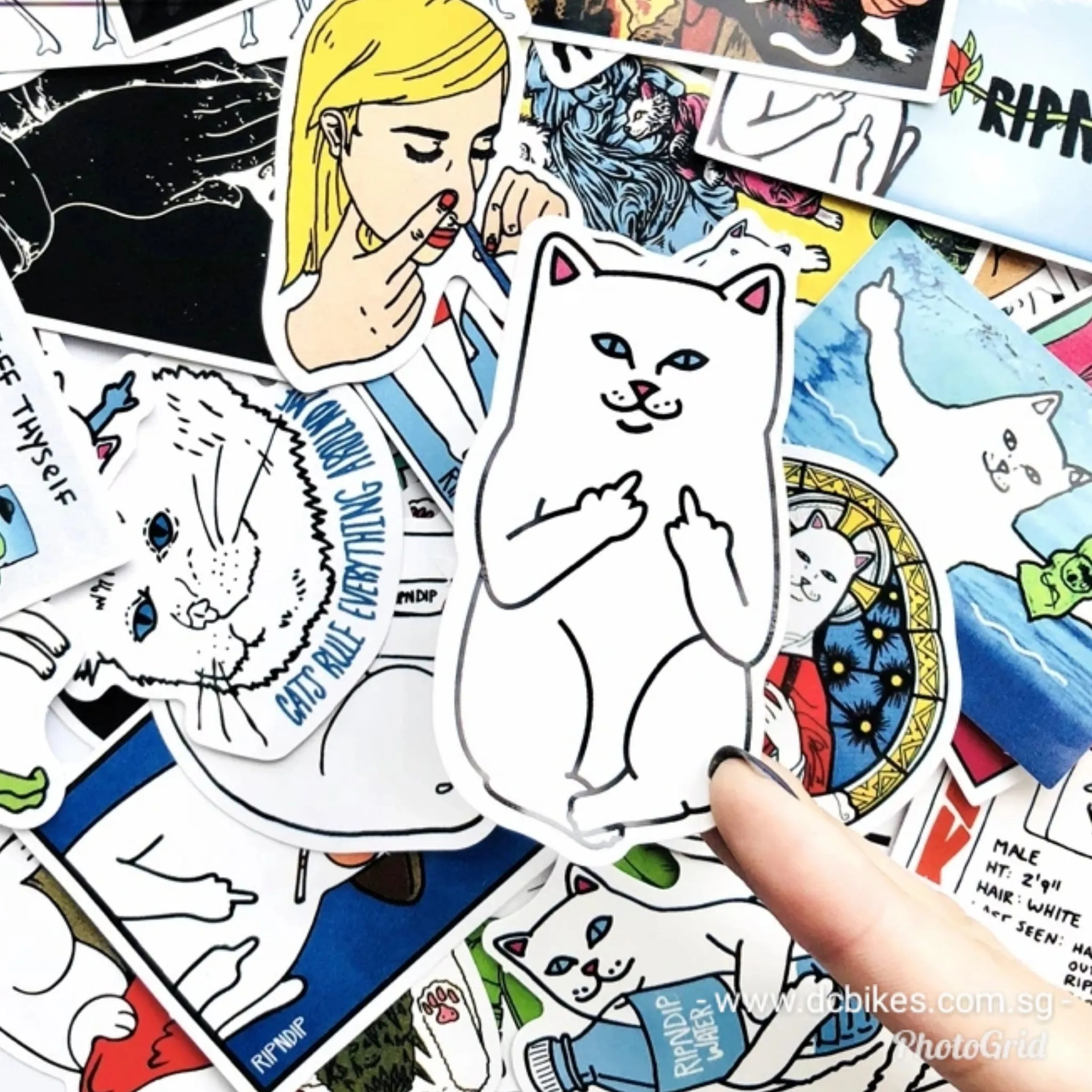 50 Pieces Rip And Dip Funny Cat Middle Finger DIY Colour Random Sticker Bomb Decals