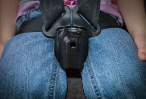 Buckle Guard