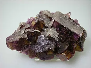 Calcite on Fluorite, Rosiclare Level Denton Mine, Ozark-Mahoning Company, Harris Creek District, Southern Illinois, Mined c. Late 1980-1981, Koster Collection #00651, Medium Cabinet 5.0 x 9.0 x 12.0 cm, $350.  Online 3/11. SOLD.