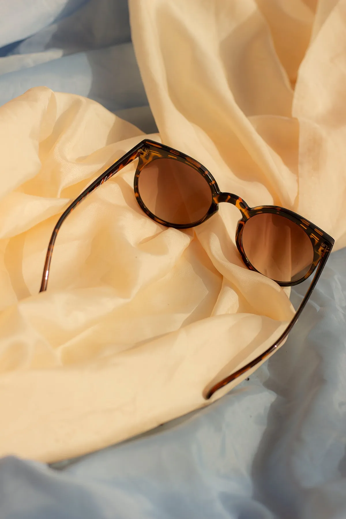 Cat Eye Sunglasses with Brow Line