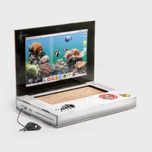 Cat Scratch Laptop