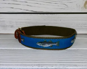Cotton Web Belts