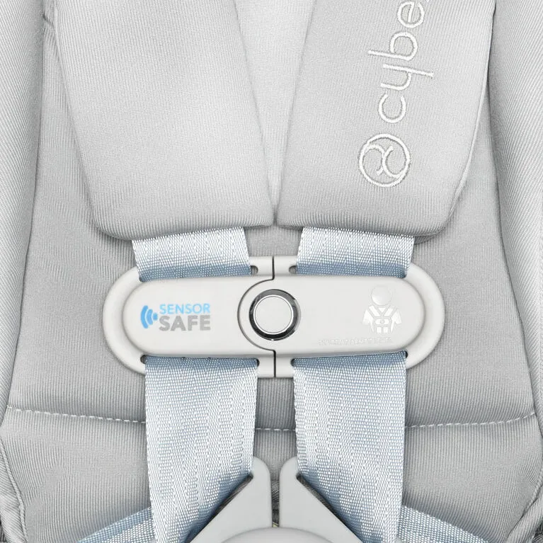 Cybex anton 2 car seat gray