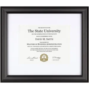 DAX Elegant Border 13x15 Document Frame