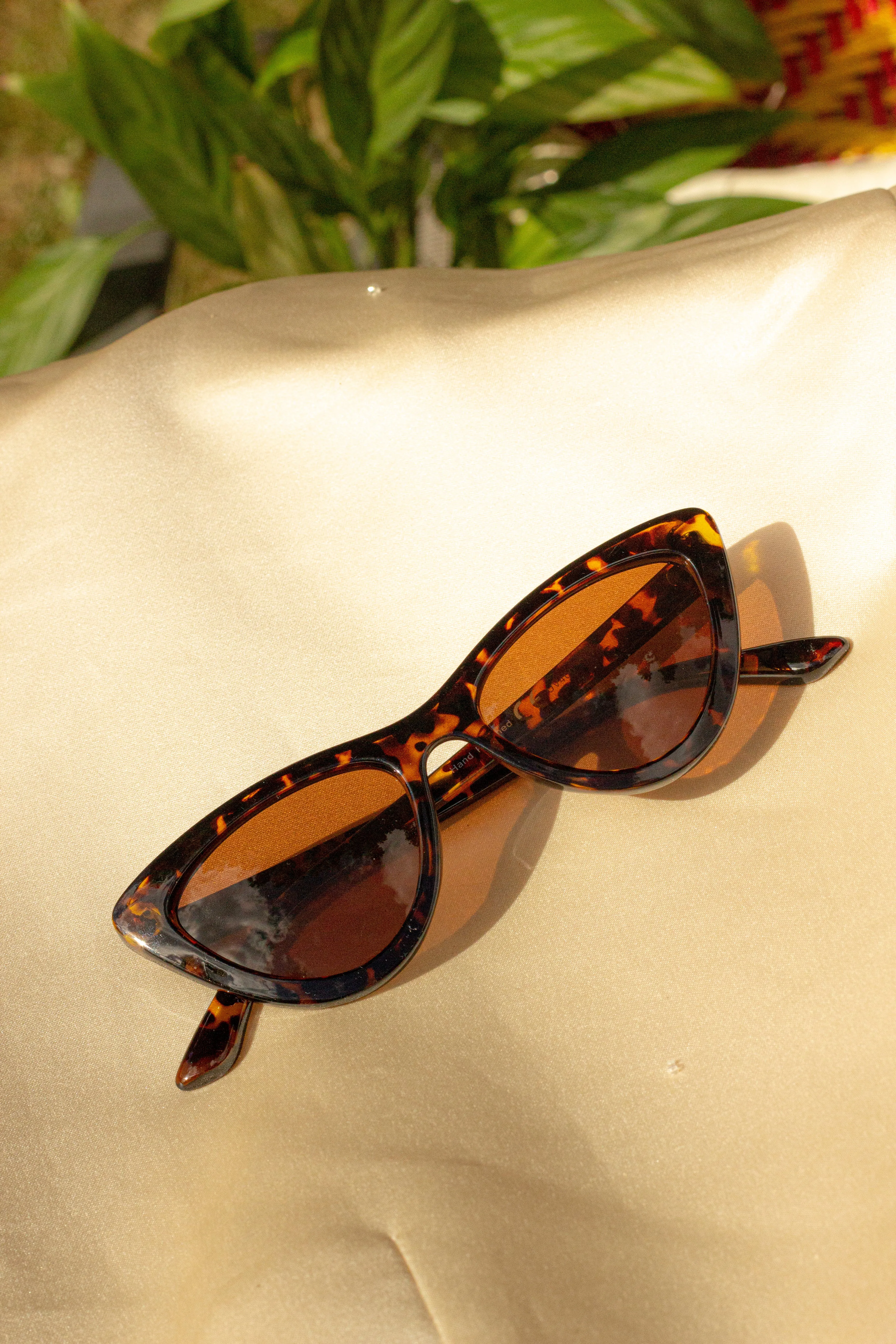 Deep Mini Cat Eye Sunglasses