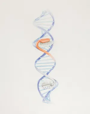 DNA/POSTER, 2015