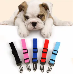 Dog Seat Belt