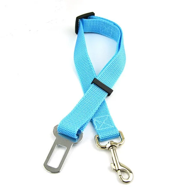 Dog Seat Belt