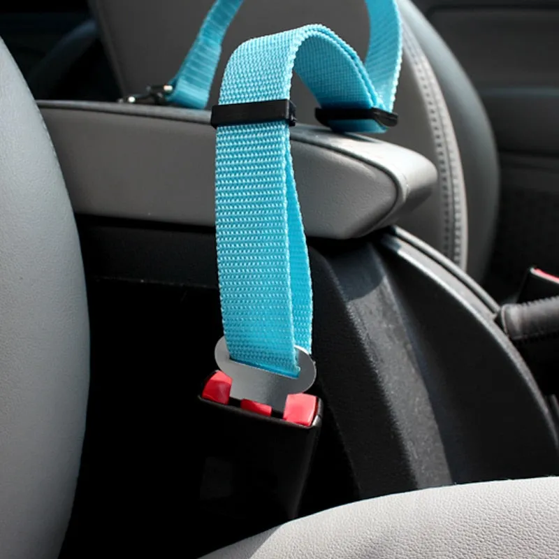 Dog Seat Belt