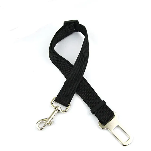 Dog Seat Belt