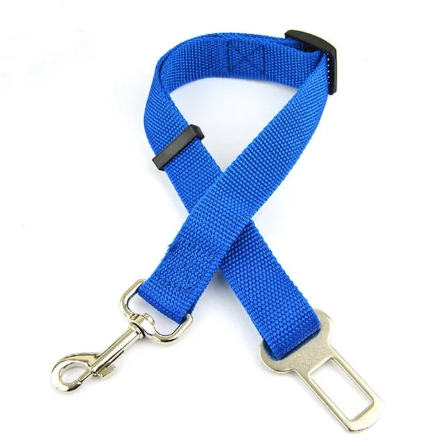 Dog Seat Belt