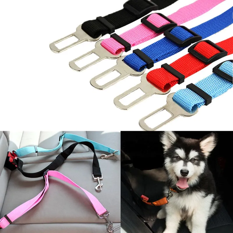 Dog Seat Belt