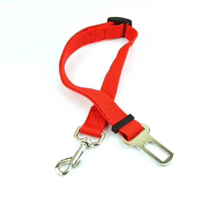 Dog Seat Belt