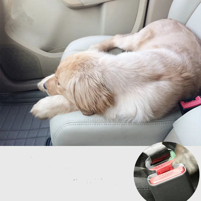 Dog Seat Belt
