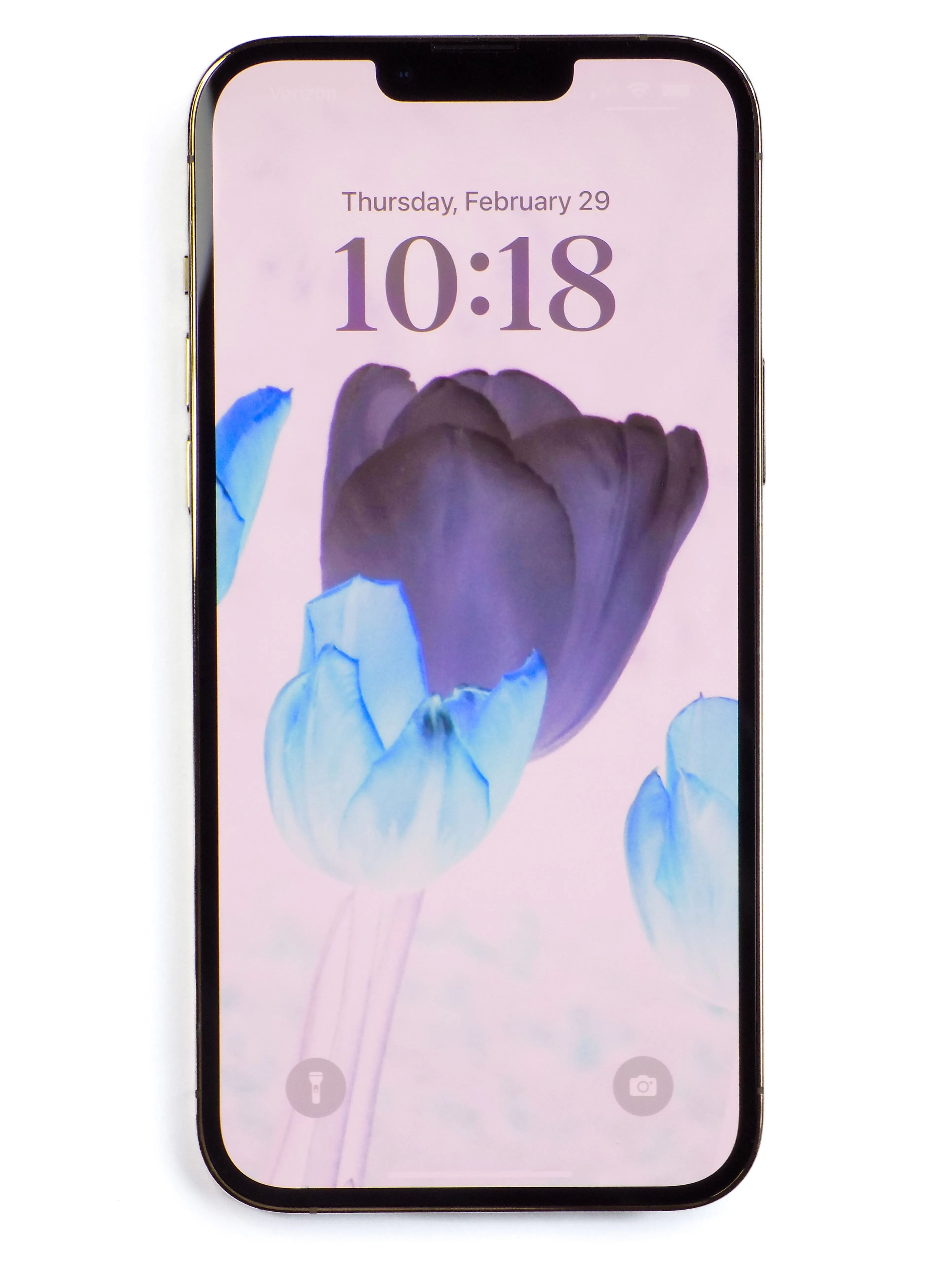 Electric Tulips
