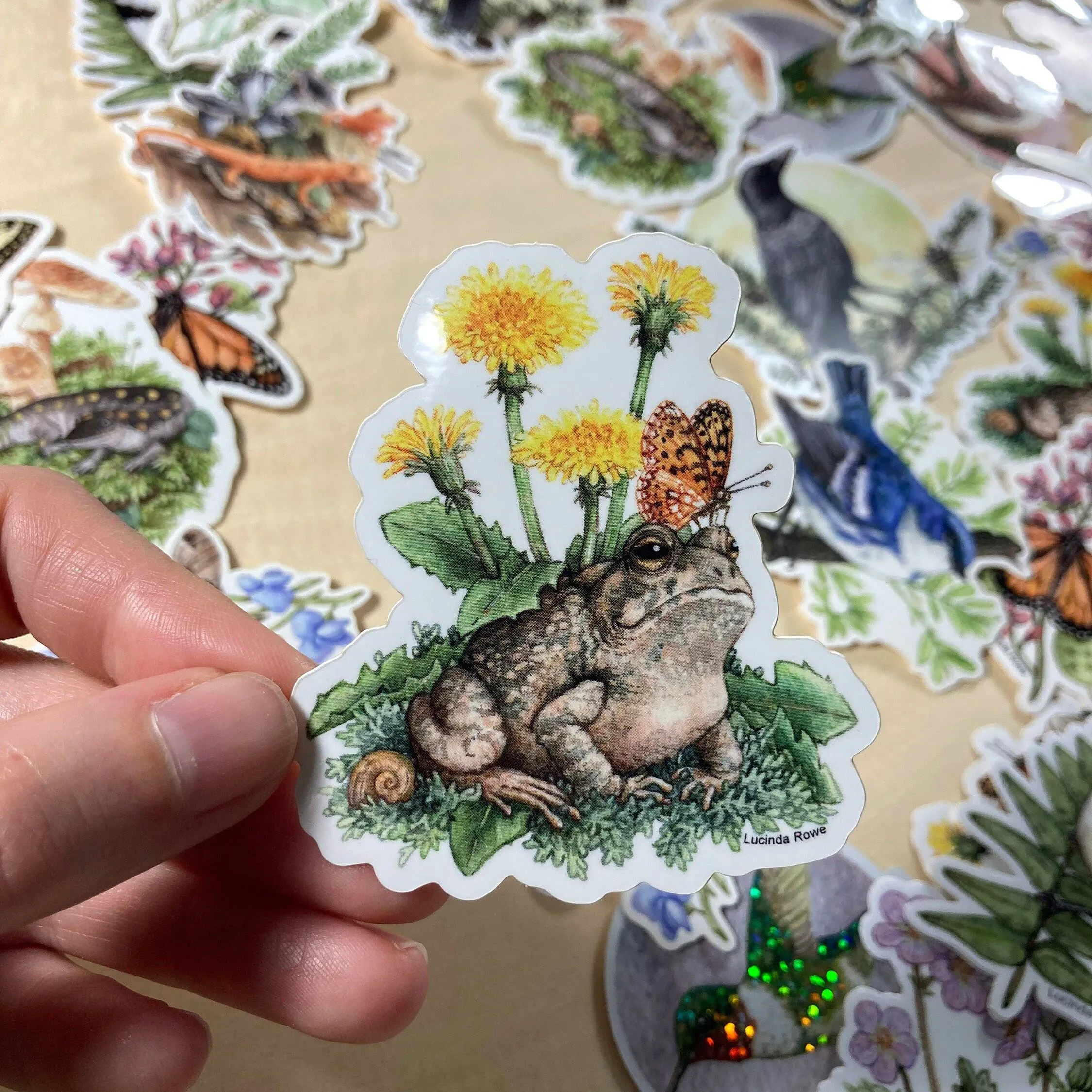 Fowler's Toad With Dandelions And Butterfly - Vinyl Sticker