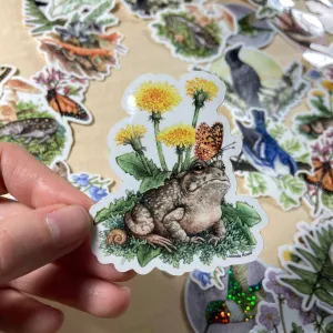 Fowler's Toad With Dandelions And Butterfly - Vinyl Sticker