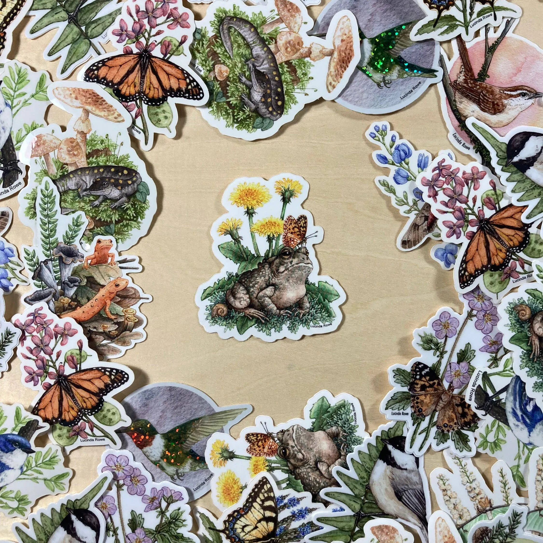 Fowler's Toad With Dandelions And Butterfly - Vinyl Sticker
