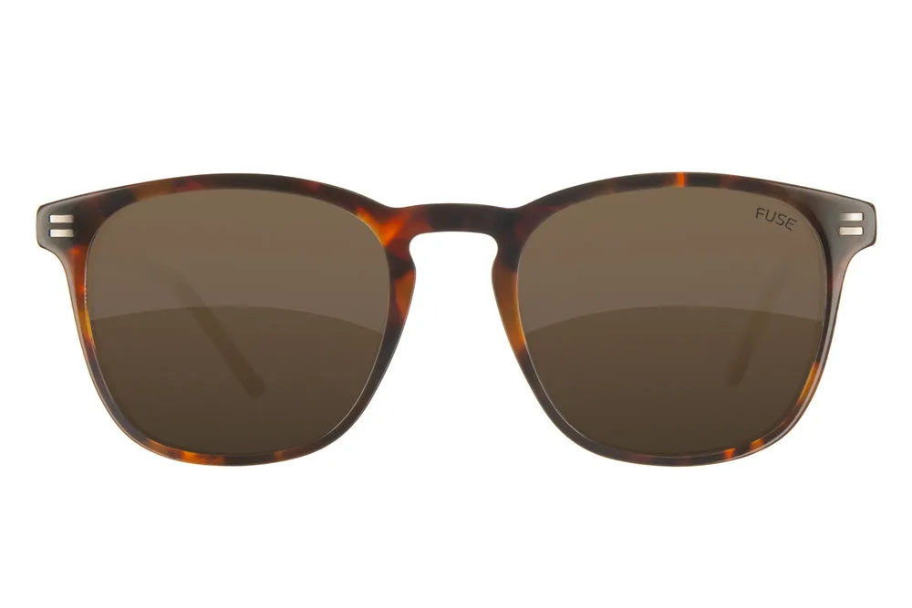 Fuse Casey Sunglasses | Gloss Tortoise