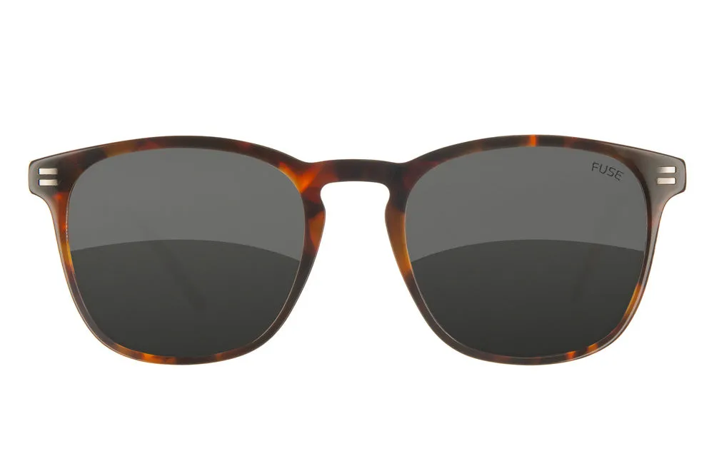 Fuse Casey Sunglasses | Gloss Tortoise
