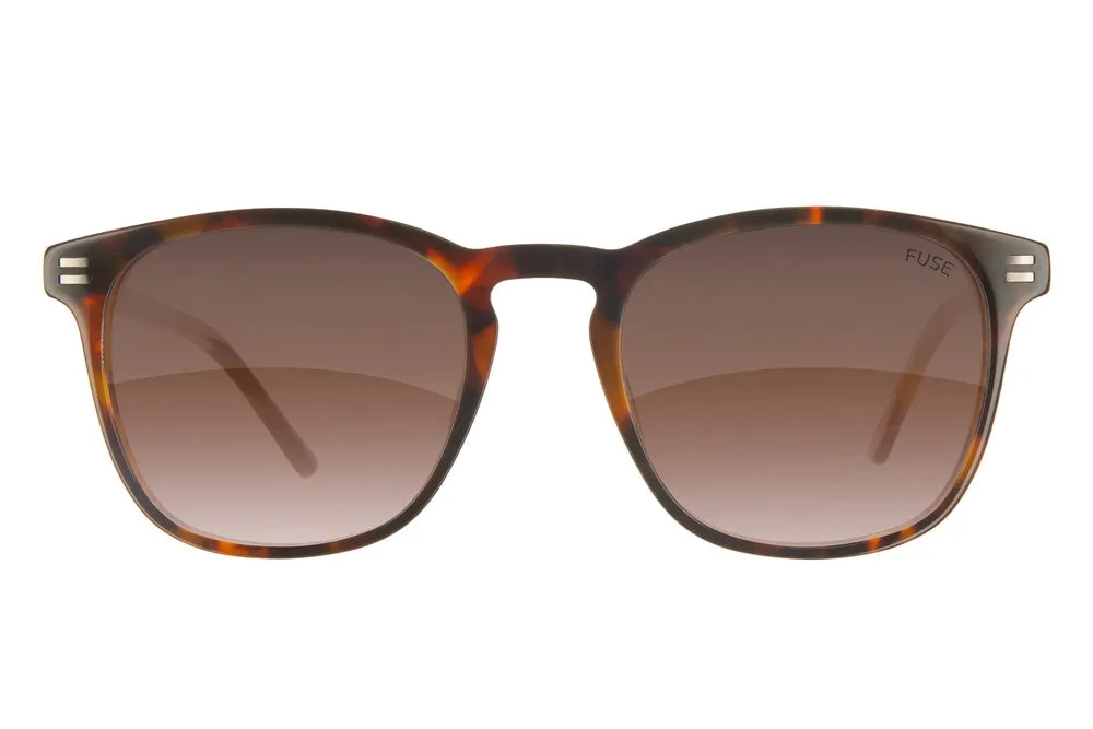 Fuse Casey Sunglasses | Gloss Tortoise