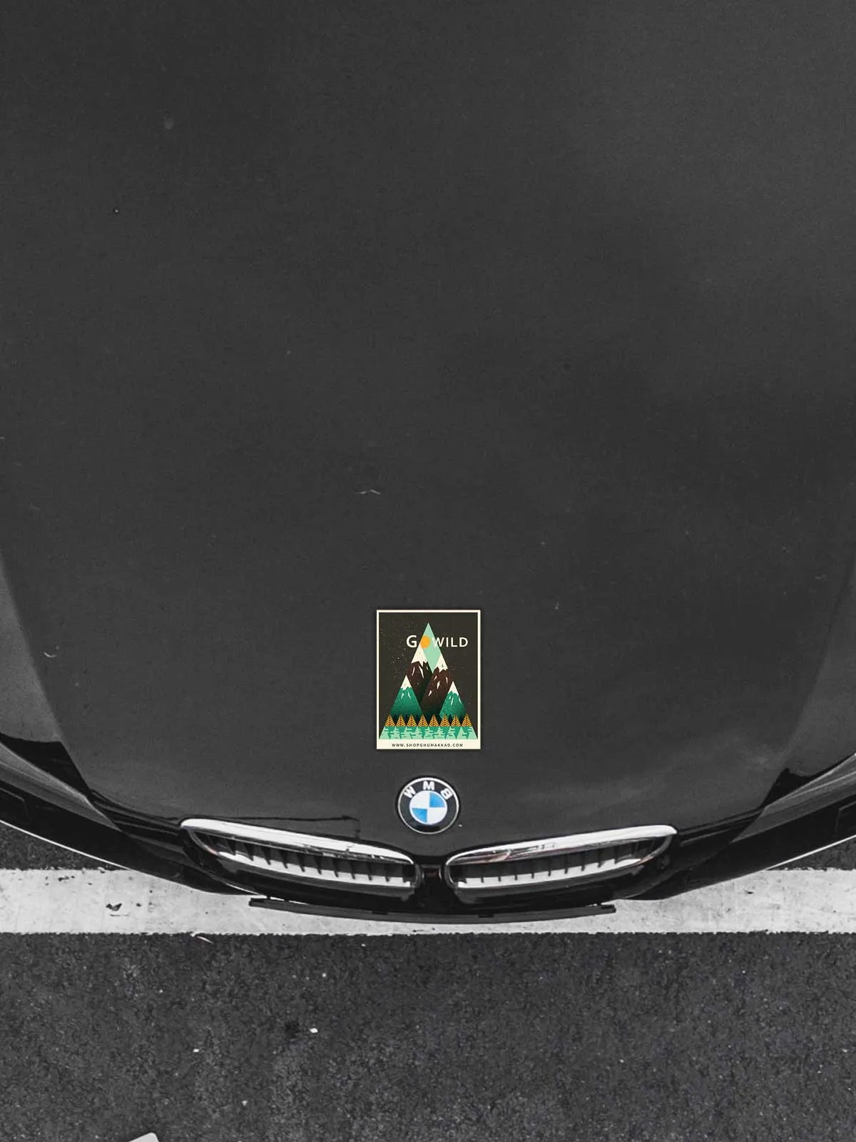 Go Wild  | Laptop / Car Sticker