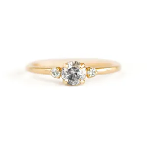 Grace 1/2 ct. Round Salt and Pepper Diamond Ring