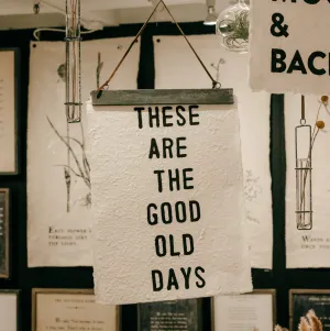Hanging Magnetic Strip Frame with Brown Suede