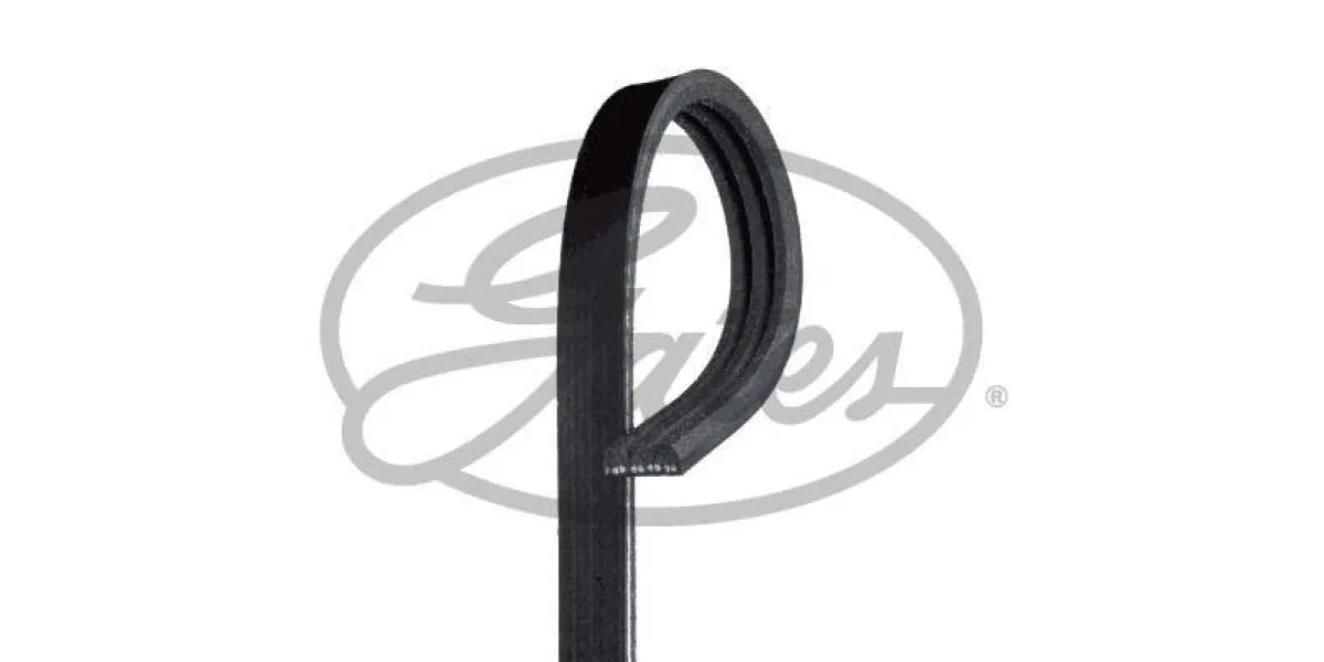 Multi-V Belt (3PK668) [Gates ]