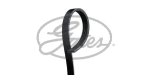 Multi-V Belt (4PK813) [Gates ]