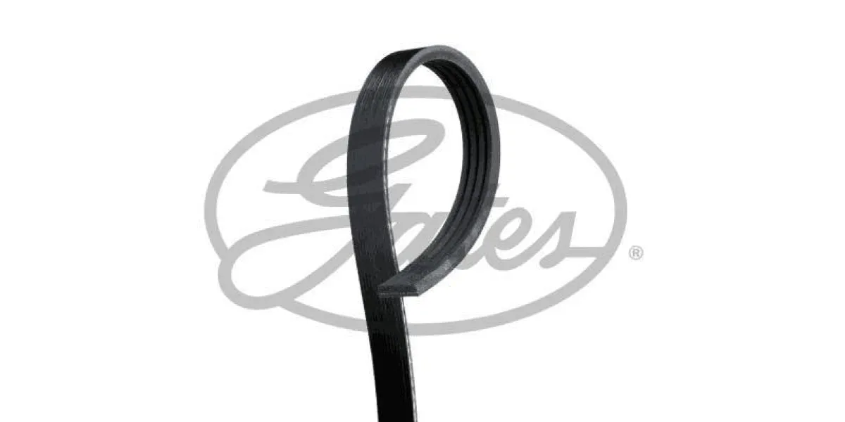 Multi-V Belt (4PK813) [Gates ]