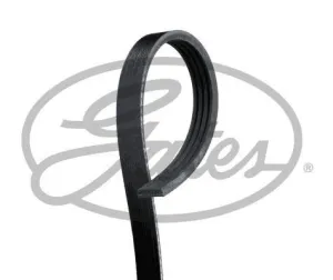 Multi-V Belt (4PK878) [Gates ]