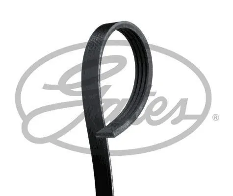 Multi-V Belt (4PK878) [Gates ]