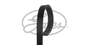 Multi-V Belt (5PK885) [Gates ]