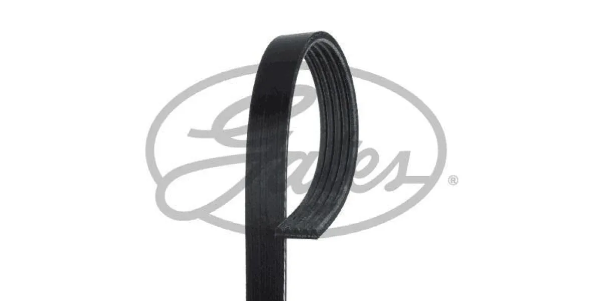 Multi-V Belt (5PK885) [Gates ]