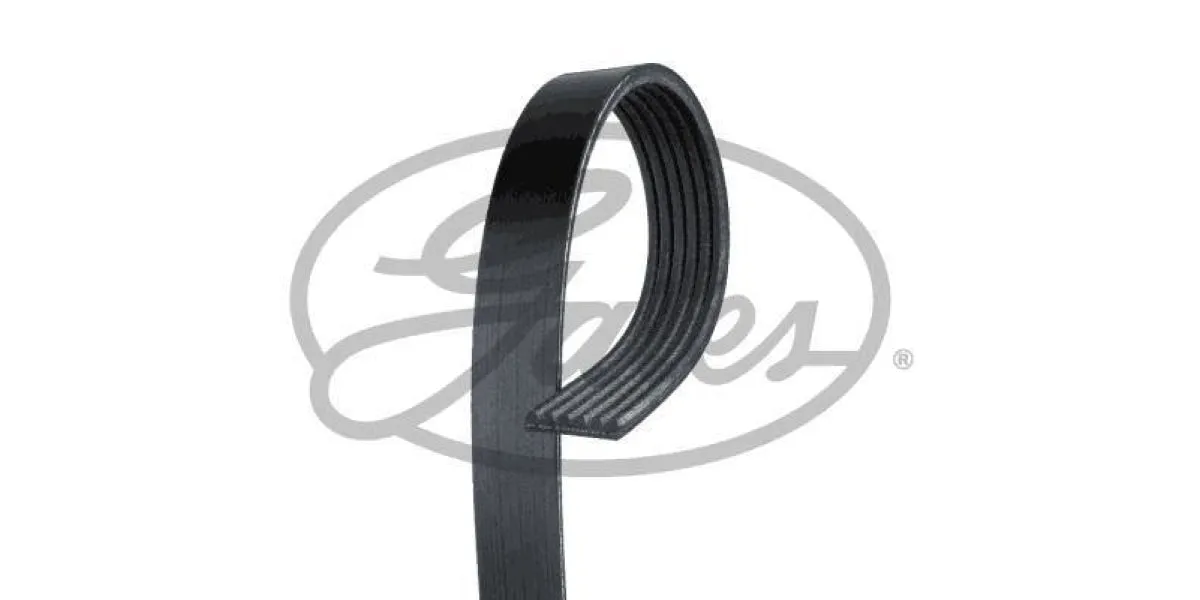 Multi-V Belt (6PK1042SF) [Gates ]