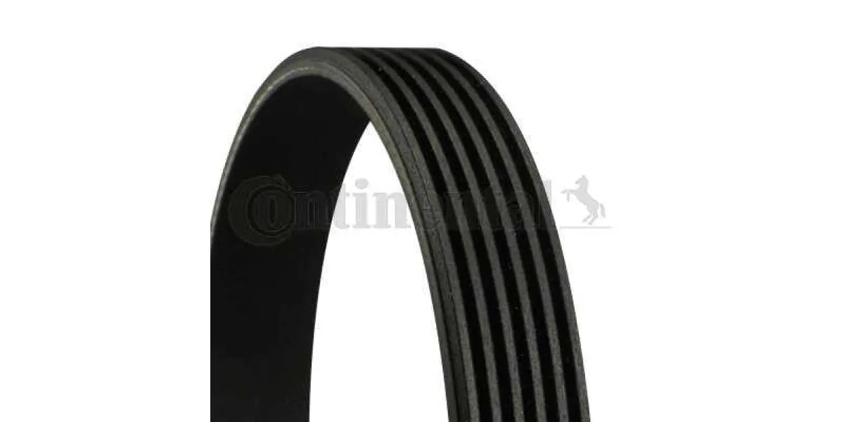 Multi-V Belt (6PK2225) [Continental]