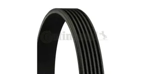 Multi-V Belt (6PK2225) [Continental]