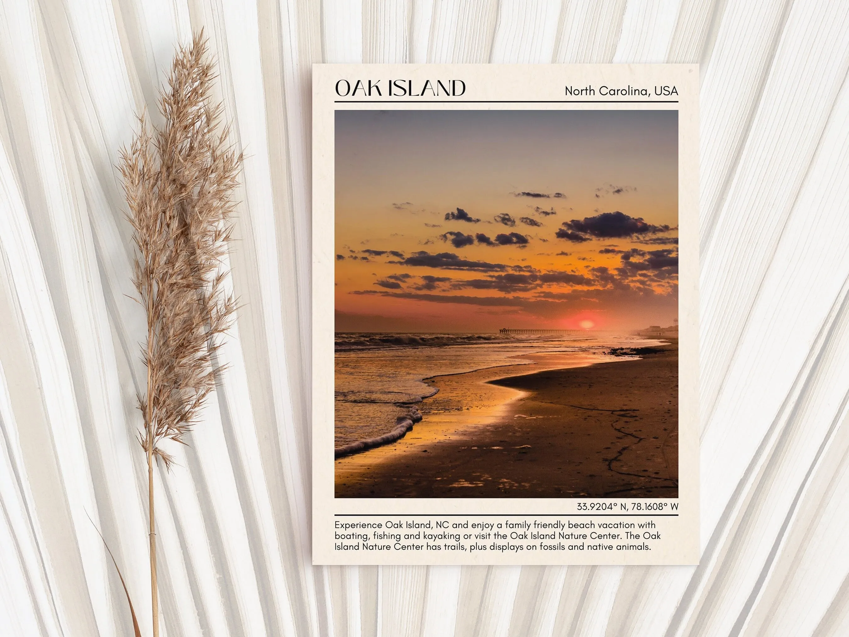 Oak Island Wall Canvas, USA