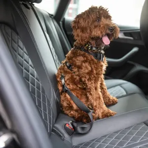 Pet Seat Belt Tether