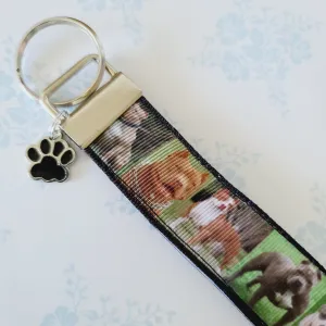 Pit Bull Key Fob / Key Chain with Enameled Paw Print Charm