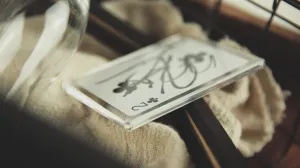 Playing Card Frame by TCC