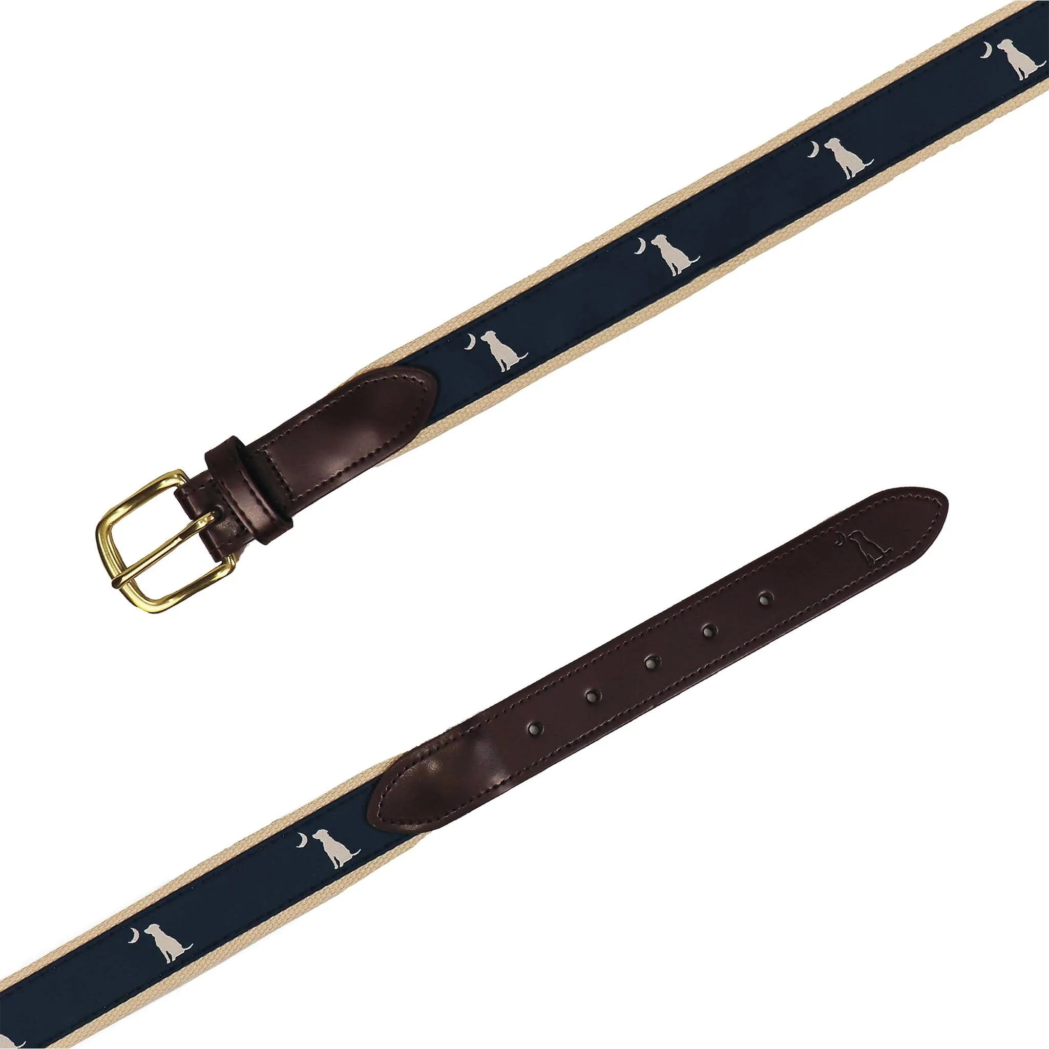 Ribbon Belt