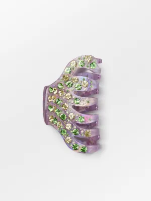 Robinia Hairclaw