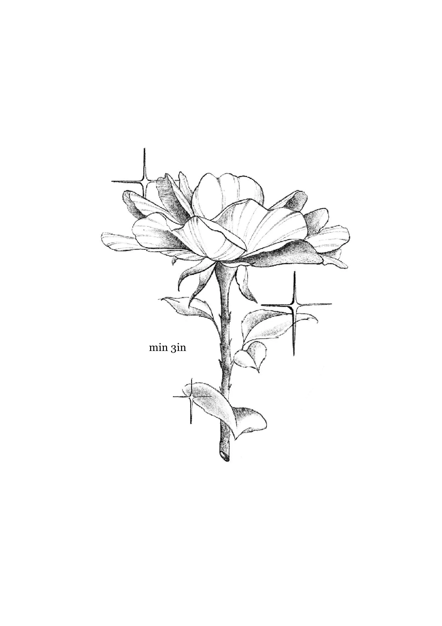 Sparkly Flower