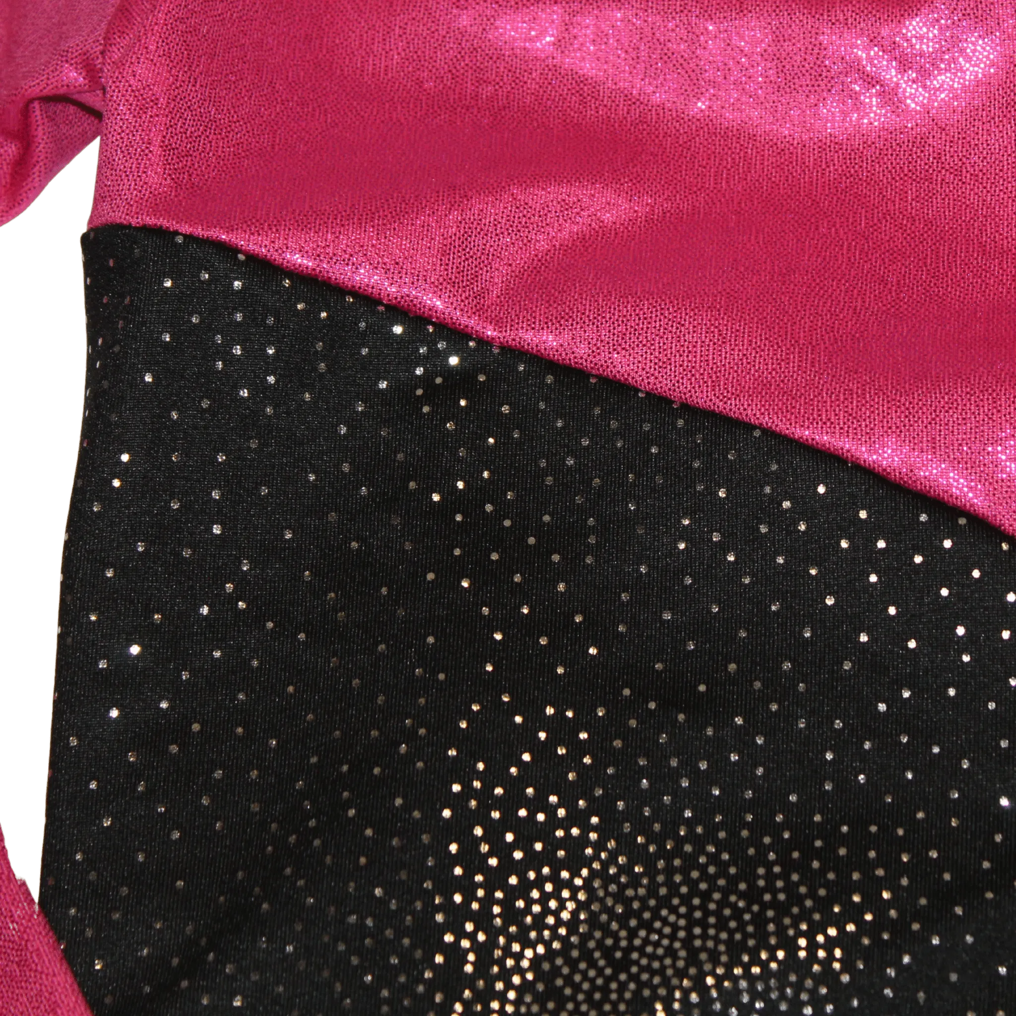 Sparkly Leotard