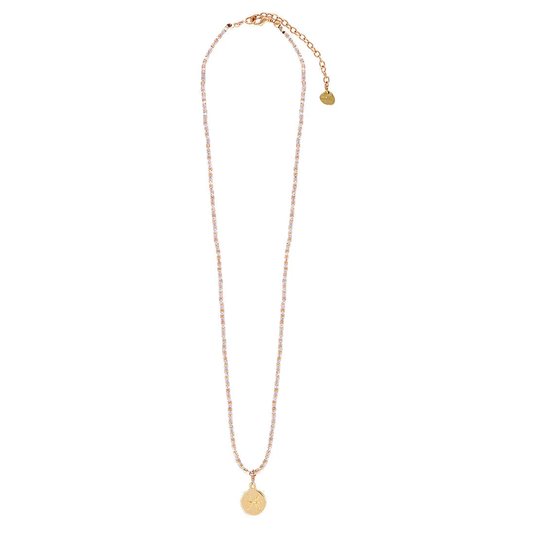 Sparkly Scorpio adjustable necklace