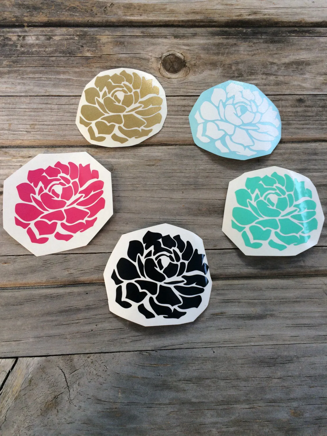 Succulent Vinyl Decal