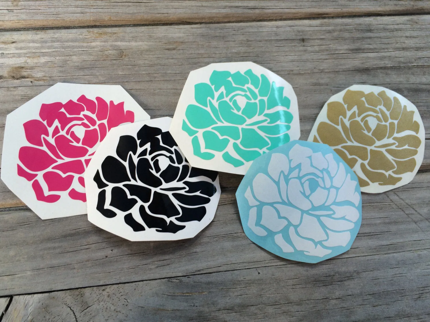 Succulent Vinyl Decal