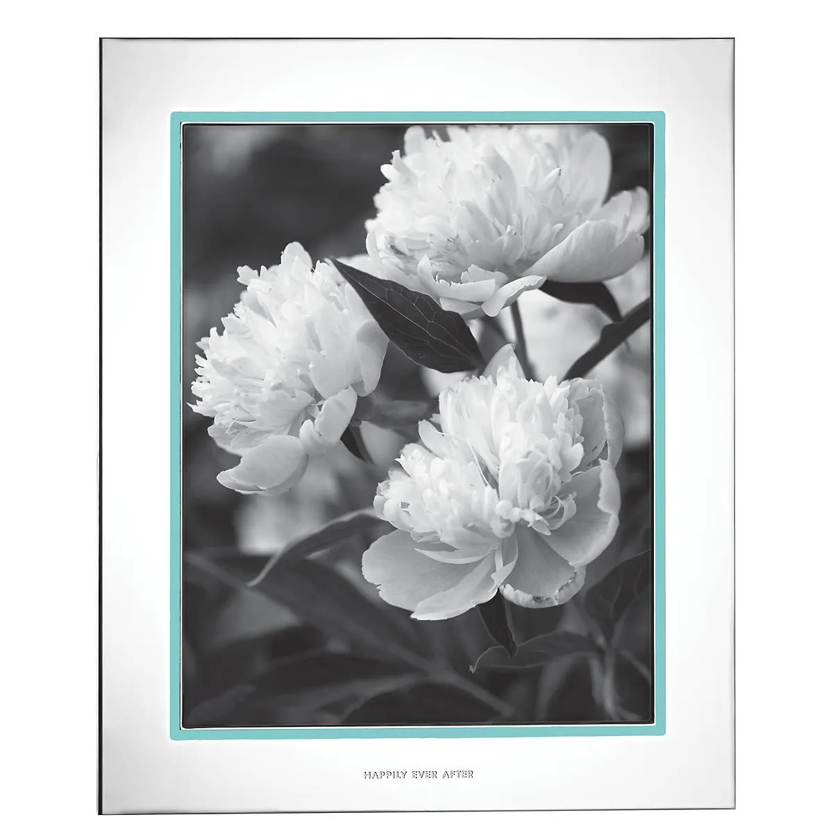 Take The Cake 8" x 10" Frame